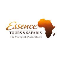 essence logo transparent