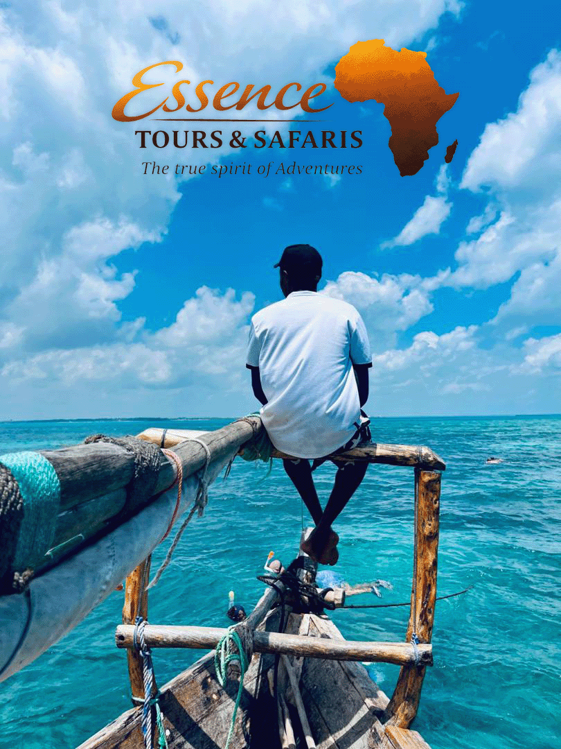 whatsapp image 2026 01 18 at 15.27.22 (1)