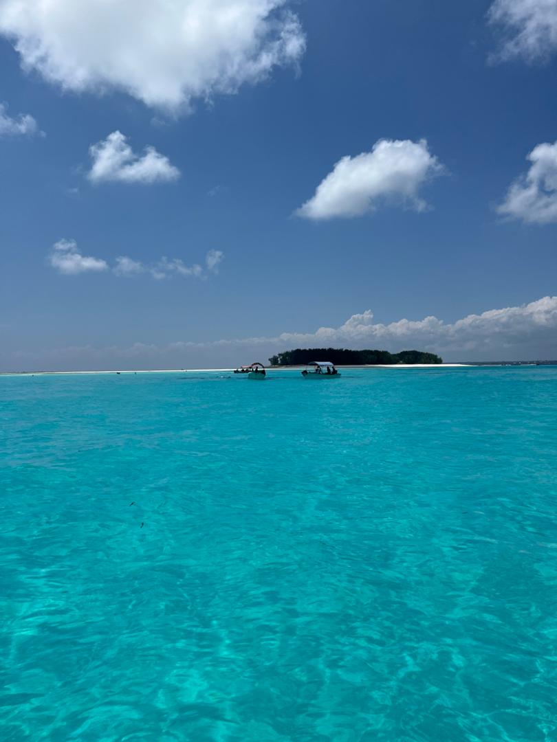 whatsapp image 2026 01 19 at 20.34.37 (1)